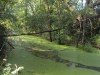 dsc06320