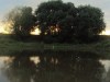 dsc06530