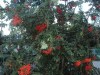 dsc06570