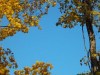 dsc06839
